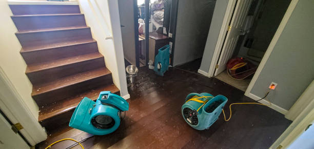 Best Residential water damage restoration  in Bowling Green, KY