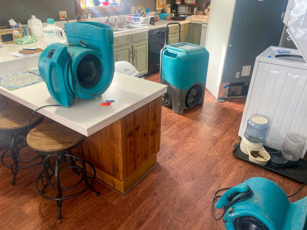 Best Commercial water damage restoration  in Bowling Green, KY
