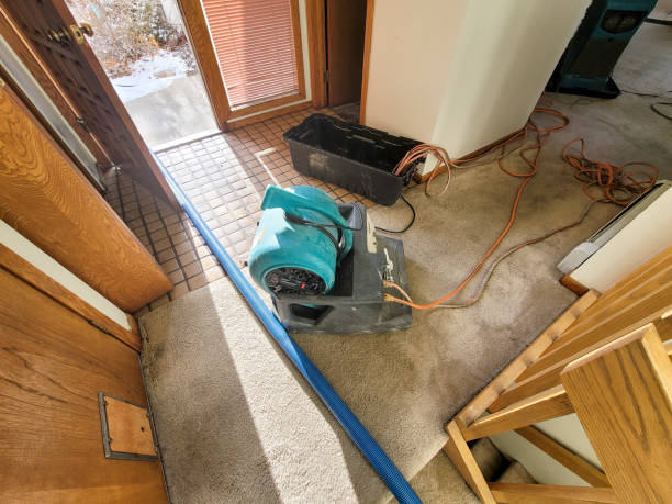 Best Emergency water damage restoration  in Bowling Green, KY