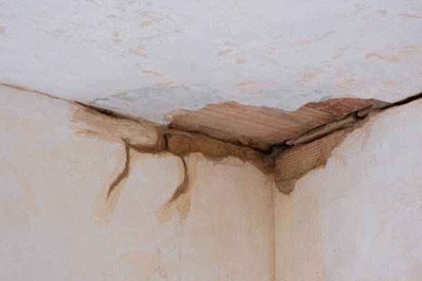  Bowling Green, KY Water damage restoration Pros