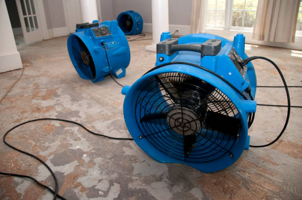 Best Water damage restoration services  in Bowling Green, KY