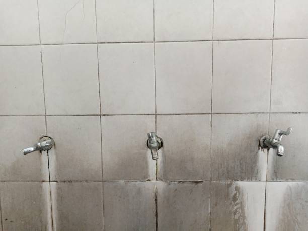 Best 24-hour water damage restoration  in Bowling Green, KY