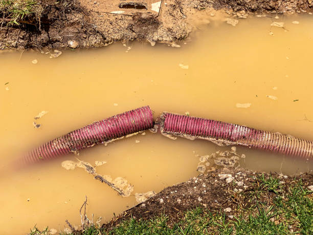 Best 24/7 water damage repair  in Bowling Green, KY