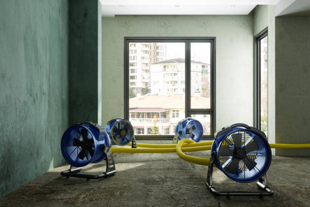 Best Water damage restoration near me  in Bowling Green, KY