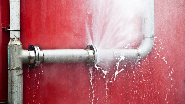 Best Local water damage restoration  in Bowling Green, KY