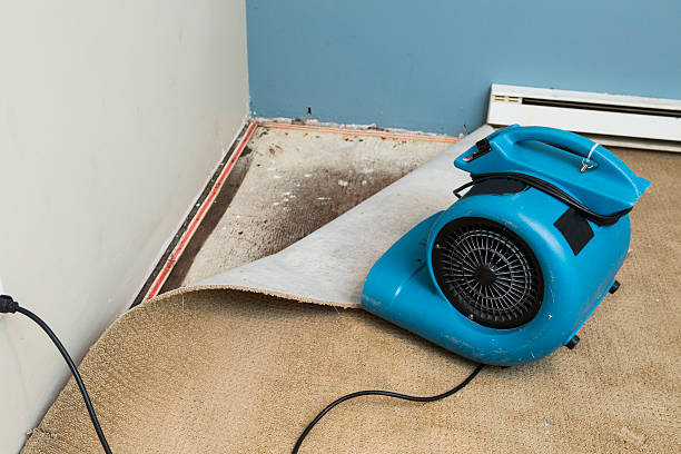 Best Flooded house restoration  in Bowling Green, KY